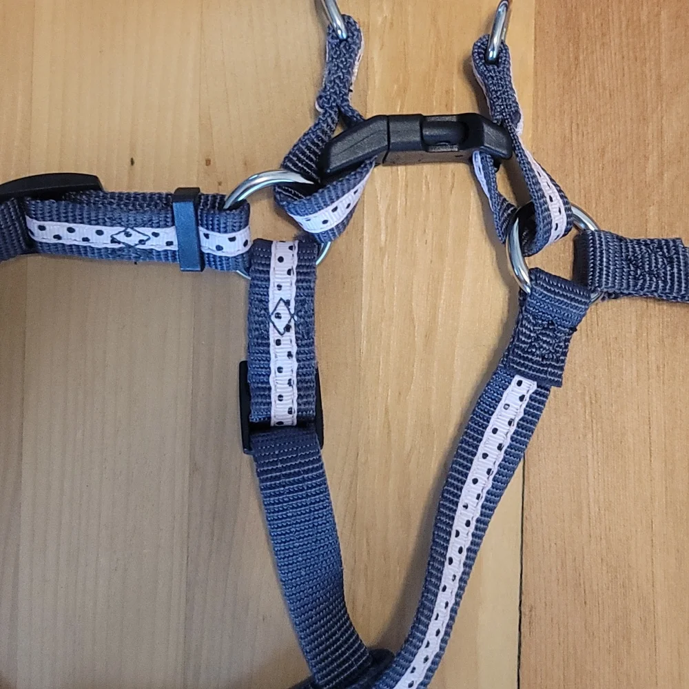 Femle Dog Polkadot HARNESS and MATCHING LEASH
